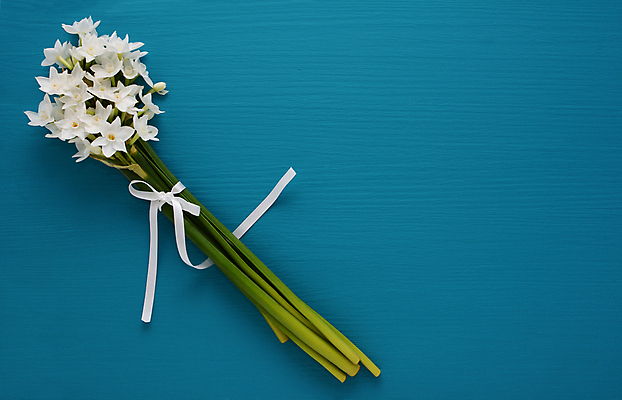 포토 JPG 해외이미지 식물 꽃 리본 꽃다발 백그라운드 자연 오리 사람없음 파란색 봄 흰색 그리기 다발 묶기 활 향기 수선화 영원 정물화 카피스페이스 해외202004 해외포토 계절 컬러 모션 조류 공백 그림 생태계 냄새 파일형식 이미지허브