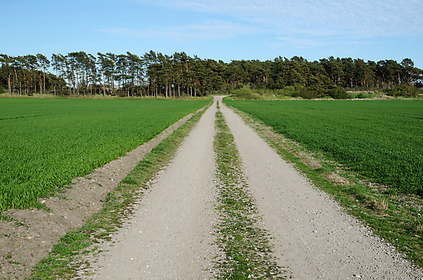 포토 JPG 해외이미지 도로 밭 자연 하늘 스웨덴 풍경 사람없음 목재 초록색 여름 파란색 햇빛 태양 환경 맑음 봄 시골 소나무 숲 땅 먼지 장면 방법 해외202004 해외포토 자연요소 나무 계절 길 컬러 농업 재료 교통시설 날씨 북유럽 생태계 파일형식 이미지허브