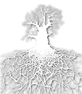 EPS 해외이미지 모양 나무 식물 디자인 실루엣 낙엽 겨울 일러스트 자연 그림자 그래픽 흰색 나뭇가지 네트워크 얽힘 자르기 아래 생물학 매듭 윤곽 뿌리 시스템 지하 내추럴 벌거벗은 생태학 옛날 지원 해외202004 해외일러스트 계절 교육 컬러 잎 모션 촬영기법 방향 생태계 위치 파일형식 벡터 이미지허브