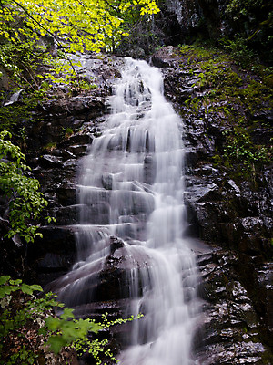 포토 JPG 해외이미지 사람없음 강 달리기 햇빛 맑음 폭포 운전 숲 스카이라인 잔물결 해외202004 해외포토 물결 모션 자연 날씨 태양 파일형식 이미지허브