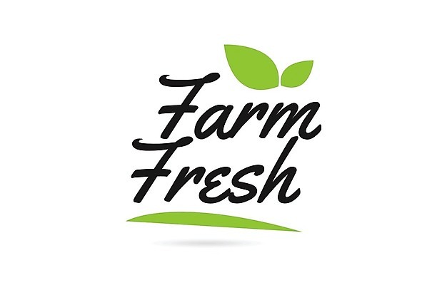 EPS 해외이미지 모양 템플릿 디자인 백그라운드 잎 일러스트 캘리그라피 텍스트 타이포그라피 사람없음 초록색 단어 농장 기록 심볼 신분 엘리먼트 활자 레터링 해외202004 해외일러스트 식물 문자 컬러 농업 활자판 파일형식 벡터 이미지허브