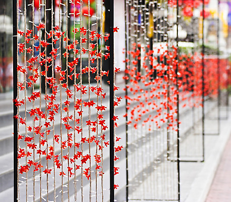 포토 JPG 해외이미지 식물 디자인 꽃 꽃무늬 사람없음 장식 빨간색 빛 램프 철사 스타일 해외202004 해외포토 컬러 무늬 조명 파일형식 이미지허브