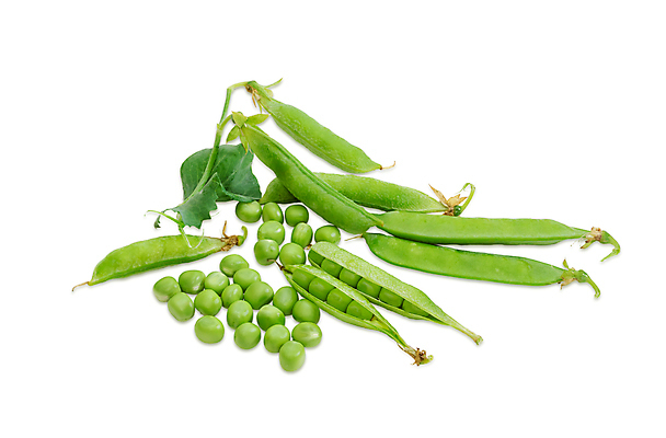 포토 JPG 해외이미지 식물 음식 잎 농업 채소 요리 사람없음 초록색 샐러드 수확 나뭇가지 신선 완두콩 고립 꼬투리 채식주의자 해외202004 해외포토 나무 산업 컬러 콩 채식 파일형식 이미지허브