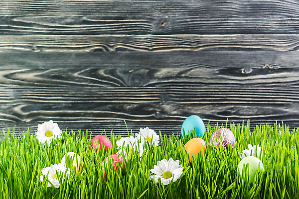 포토 JPG 해외이미지 전통 디자인 계절 꽃잎 꽃 음식 백그라운드 꽃무늬 벽지 휴가 부활절 기념 이벤트 사람없음 목재 장식 초록색 빛 페인트 봄 수확 흰색 시골 신용카드 4월 심볼 질감 부활절계란 해외202004 해외포토 나무 식물 기념일 컬러 무늬 농업 재료 금융 계란 날짜 파일형식 이미지허브