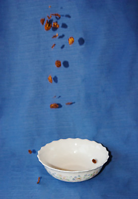 포토 JPG 해외이미지 스튜디오촬영 라이프스타일 음료 음식 이동 모션 아침 추상 아이디어 건강 창조 사람없음 공중 세로 컬러풀 우유 사발 붓기 떨어짐 아침식사 파란배경 흘림 건강식 특별함 스플래쉬 해외202004 해외포토 주간 컬러 백그라운드 컨셉 무늬 유제품 실내 생활 파란색 식사 사기그릇 파일형식 이미지허브