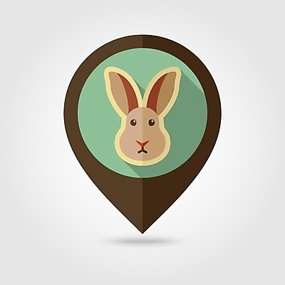 JPG EPS 해외이미지 한마리 일러스트 사람없음 농장 토끼 위치 해외202004 해외일러스트 1 농업 포유류 반려동물 파일형식 벡터 이미지허브