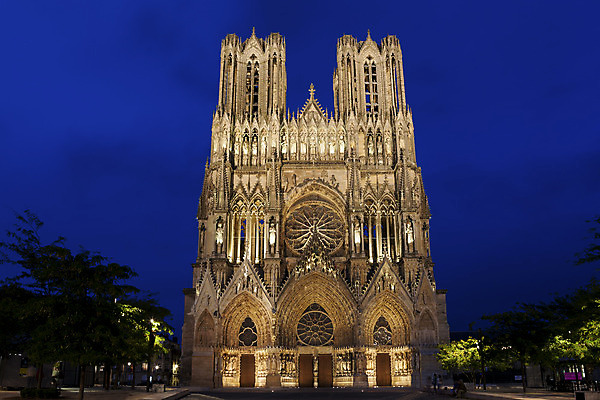 포토 JPG 해외이미지 나무 건축물 건축양식 풍경 사람없음 야외 빛 프랑스 야간 대성당 파리_프랑스 해외202004 해외포토 자연요소 식물 건축 유럽 성당 파일형식 이미지허브