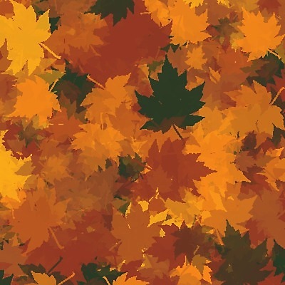 EPS 해외이미지 나무 식물 디자인 계절 공원 백그라운드 단풍 잎 패턴 오렌지 일러스트 자연 추상 프레임 건조 야외 빨간색 초록색 컬러풀 갈색 노란색 정원 보라색 공백 할로윈 수확 가을 황금 숲 9월 11월 질감 정사각형 페이지 추수감사절 10월 내추럴 땅바닥 해외202004 해외일러스트 도형 공공시설 기독교 컬러 무늬 농업 과일 바닥 날짜 생태계 파일형식 벡터 이미지허브