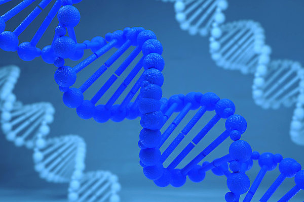 포토 JPG 해외이미지 야생동물 과학 백그라운드 패턴 일러스트 자연 추상 세포 건강 미술 사람 사람없음 초록색 파란색 약 3D 건강관리 DNA 질감 생물학 미생물 염색체 유전 해외202004 해외포토 동물 교육 컬러 무늬 의학 문화예술 생물 관리 생명공학 디지털합성 생태계 파일형식 이미지허브