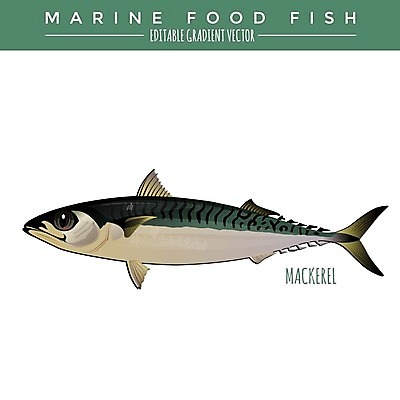 EPS 해외이미지 야생동물 음식 바다 일러스트 자연 낚시 어류 그래픽 라벨 신선 은색 먹기 해산물 오브젝트 그림 태평양 패키지 고등어 통조림 대서양 내추럴 고립 동물상 소금물 엘리먼트 해외202004 해외일러스트 동물 컬러 모션 레저 프레임 조형물 수중동물 생태계 파일형식 벡터 이미지허브