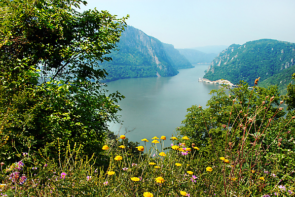 포토 JPG 해외이미지 식물 공원 꽃 유럽 자연 표면 산 풍경 사람없음 야외 초록색 물 여름 강 노란색 골짜기 계곡 흐름 개화 강가 철 언덕 대문 루마니아 내추럴 깊이 다뉴브강 발칸반도 세르비아 전국 해외202004 해외포토 자연요소 계절 공공시설 나라 컬러 컨셉 문 생태계 파일형식 이미지허브
