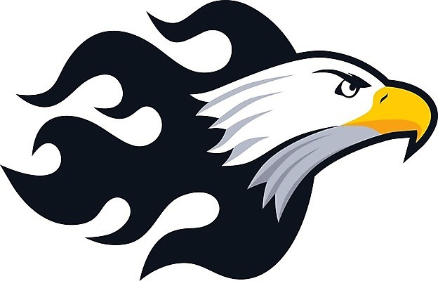 EPS 해외이미지 템플릿 일러스트 조류 불 불꽃 미술 머리 자신감 심볼 독수리 육식동물 영웅 병정 화상 해외202004 해외일러스트 자연요소 동물 감정 문화예술 신체부위 상처 파일형식 벡터 이미지허브