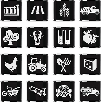 EPS 해외이미지 식물 포크 밭 농업 채소 일러스트 조류 치즈 육류 옥수수 치킨 가축 우유 소 엘리베이터 땅 밀 삽 심볼 탱크 짐차 쟁기 증명서 귀리 해외202004 해외일러스트 동물 식기 산업 식재료 포유류 자동차 유제품 곡류 닭고기요리 파일형식 벡터 이미지허브