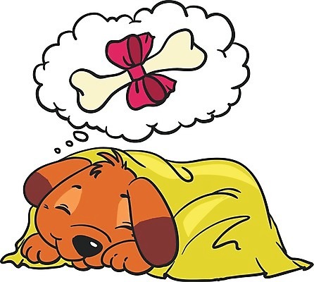 EPS 해외이미지 클립아트 동물 캐릭터 행복 일러스트 포유류 미소 그래픽 빨간색 반려동물 세트 갈색 노란색 검은색 스패니얼 흰색 그룹 유머 개 리트리버 강아지 만화 닥스훈트 테리어 래브라도리트리버 그림 꼬리 코믹 솜털 송곳니 기르기 마스코트 유래 캐리커처 포메라니안 해외202004 해외일러스트 일러캐릭터 감정 컬러 표정 치아 돌봄 파일형식 벡터 이미지허브