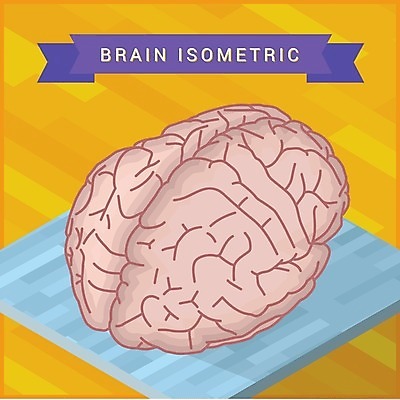 EPS 해외이미지 디자인 과학 컨셉 일러스트 해부 미술 사람 그래픽 컬러풀 약 3D 마음 오르간 플랫 스마트 심볼 오브젝트 사인 뇌 그림 생물학 각도 반구 엘리먼트 해외202004 해외일러스트 교육 컬러 의학 문화예술 원형 건반악기 디지털합성 파일형식 벡터 이미지허브