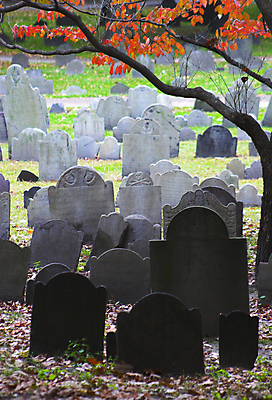 포토 JPG 해외이미지 나무 잎 휴식 사람없음 미국 슬픔 가을 죽음 무덤 역사 묘사 혁명 옛날 장례식 전국 해외202004 해외포토 식물 계절 감정 컨셉 북아메리카 파일형식 이미지허브