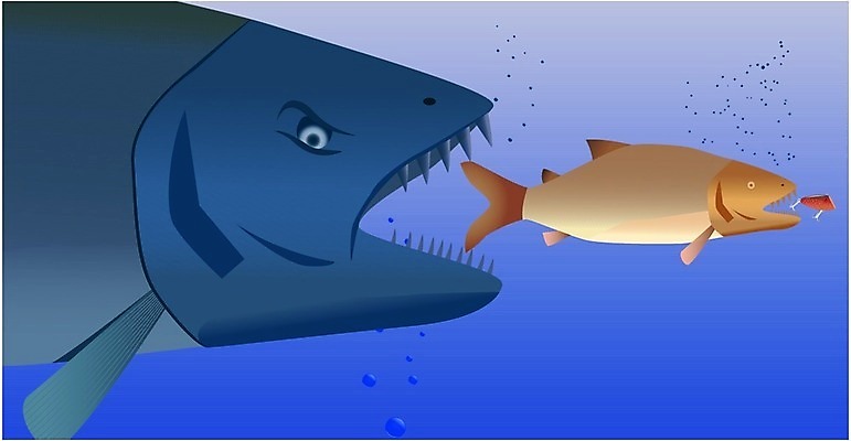 EPS 해외이미지 야생동물 음식 바다 컨셉 일러스트 낚시 어류 수중 잡기 치아 유혹 사냥 육식동물 사냥꾼 미끼 해외202004 해외일러스트 동물 직업 모션 레저 수중동물 소화기관 파일형식 벡터 이미지허브