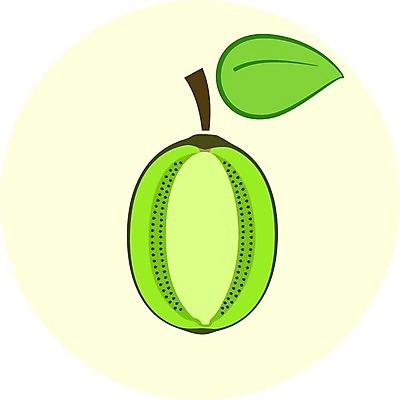 EPS 해외이미지 식물 실루엣 음식 조각 십자가 다이어트 과일 일러스트 재료 디저트 실내 건강 키위 씨앗 초록색 컬러풀 식사 신선 플랫 달콤 맛 아침식사 만화 자르기 먹기 메뉴 심플 내추럴 점심식사 고립 숙성 영양분 이국적 채식주의자 비건 해외202004 해외일러스트 컬러 컨셉 모션 촬영기법 내부 채식 파일형식 벡터 이미지허브