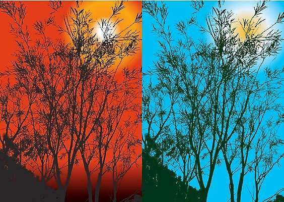 EPS 해외이미지 나무 계절 공원 실루엣 잎 일러스트 자연 하늘 야외 그래픽 여름 햇빛 태양 성장 달 나뭇가지 야간 저녁 달빛 질감 복잡 해외202004 해외일러스트 자연요소 식물 공공시설 컨셉 촬영기법 생태계 파일형식 벡터 이미지허브