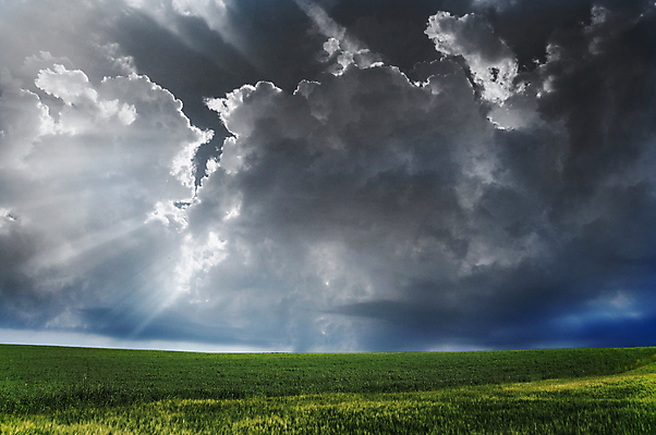 포토 JPG 해외이미지 나무 식물 구름 계절 음식 백그라운드 밭 농업 자연 하늘 바람 날씨 풍경 사람없음 야외 가로 초록색 여름 파란색 빛 햇빛 태양 노란색 검은색 어둠 황혼 일몰 가을 시골 황금 땅 시리얼 밀 장면 폭풍 넘어짐 뇌우 수평선 해외202004 해외포토 자연요소 산업 컬러 모션 곡류 노을 생태계 파일형식 이미지허브