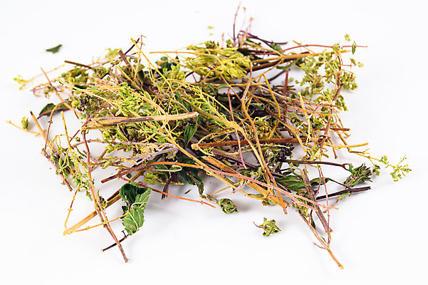 포토 JPG 해외이미지 식물 꽃잎 꽃 분홍색 백그라운드 꽃무늬 오렌지 자연 건조 건강 사람없음 야외 초록색 건강관리 정원 보라색 센터 닫기 정상 허브 묘사 유기농 원예 꽃가루 동쪽 고슴도치 보충 면역력 영원 치유 해외202004 해외포토 웰빙 컬러 무늬 과일 포유류 모션 관리 취미 가루 방향 생태계 파일형식 이미지허브