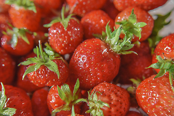 포토 JPG 해외이미지 디자인 열매 길 음식 조각 백그라운드 잎 농업 다이어트 과일 재료 부분 자연 딸기 디저트 건강 씨앗 사람없음 빨간색 초록색 세트 주스 흰색 신선 그룹 달콤 맛 자르기 오브젝트 상쾌 유기농 날것 내추럴 고립 숙성 엘리먼트 채식주의자 비건 해외202004 해외포토 식물 웰빙 감정 산업 음료 컬러 컨셉 모션 생태계 채식 파일형식 이미지허브