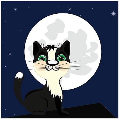 EPS 해외이미지 동물 별 일러스트 하늘 지붕 주택 건물 반려동물 고양이 어둠 행성 달 야간 만화 만족 요금 해외202004 해외일러스트 자연요소 건축물 감정 포유류 우주 파일형식 벡터 이미지허브