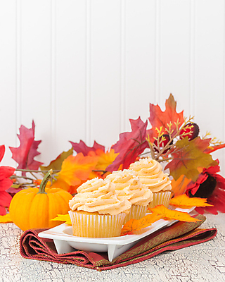 포토 JPG 해외이미지 전통 접시 계절 음식 조각 잎 부분 호박 디저트 사람없음 컬러풀 얼음 가을 대접 달콤 컵케이크 굽기 페스츄리 프로스팅 해외202004 해외포토 자연요소 식물 식기 빵 컬러 채소 케이크 맛 구이 제빵 파일형식 이미지허브