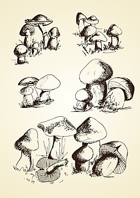 EPS 해외이미지 일러스트 해외202004 해외일러스트 파일형식 벡터 이미지허브