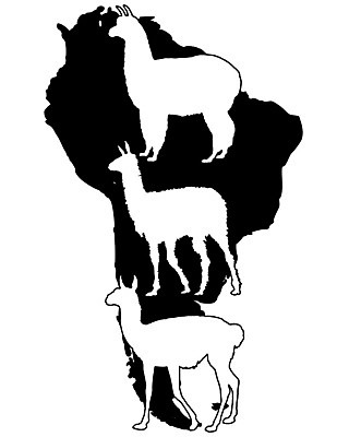 EPS 해외이미지 동물 실루엣 백그라운드 일러스트 포유류 검은색 미국 흰색 낙타 남쪽 고립 동물상 라마 알파카 해외202004 해외일러스트 컬러 북아메리카 촬영기법 조형물 방향 파일형식 벡터 이미지허브