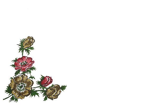 포토 JPG 해외이미지 디자인 꽃 백그라운드 꽃무늬 사람없음 장식 빨간색 수확 골동품 벚꽃 흰색 시골 직물 화려 향수 올리브 질감 복고 손수건 시트 구식 그런지 옛날 해외202004 해외포토 식물 열매 컬러 컨셉 무늬 농업 화장품 파일형식 이미지허브