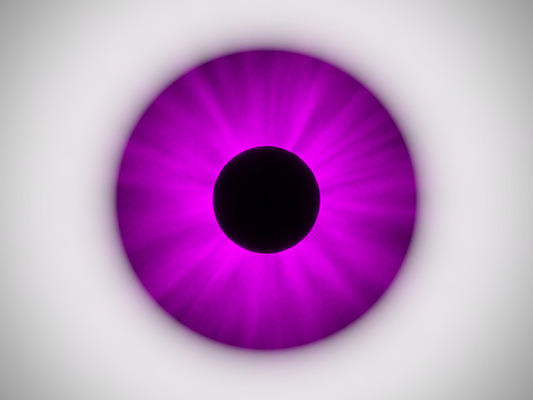 포토 JPG 해외이미지 학생 백그라운드 일러스트 벽지 미술 사람없음 그래픽 컬러풀 보라색 눈동자 붓꽃 발생 선견지명 해외202004 해외포토 꽃 컬러 문화예술 눈_신체부위 파일형식 이미지허브