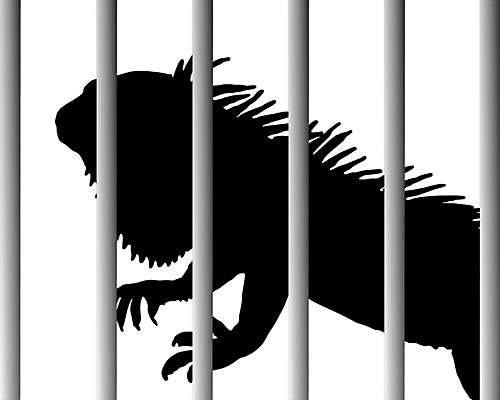 EPS 해외이미지 동물 공원 실루엣 백그라운드 일러스트 파충류 동물원 그래픽 울타리 정원 검은색 흰색 바 심볼 사인 도마뱀 새장 이구아나 고립 해외202004 해외일러스트 공공시설 컬러 촬영기법 담장 케이지 파일형식 벡터 이미지허브