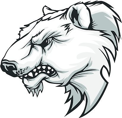 EPS 해외이미지 동물 얼굴 스포츠 일러스트 곰 학교 고등학교 머리 치아 만화 북극 육식동물 마스코트 발톱 집게발 해외202004 해외일러스트 교육 포유류 발 신체부위 소화기관 극지방 파일형식 벡터 이미지허브