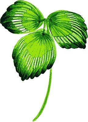 EPS 해외이미지 디자인 꽃 백그라운드 잎 일러스트 수채화 미술 사람없음 손그림 해외202004 해외일러스트 식물 문화예술 파일형식 벡터 이미지허브