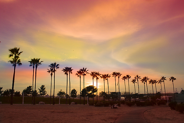 포토 JPG 해외이미지 식물 구름 모래 바다 여행 백그라운드 오렌지 자연 하늘 아침 날씨 추상 휴가 풍경 사람없음 야외 가로 여름 파란색 빛 햇빛 태양 반사 노란색 일출 침묵 황혼 일몰 새벽 활발 가을 황금 스카이라인 내추럴 웅장함 수평선 해외202004 해외포토 주간 자연요소 계절 컬러 컨셉 무늬 과일 노을 소리 생태계 파일형식 이미지허브
