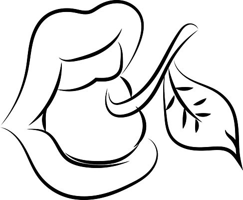 EPS 해외이미지 여자 열매 일러스트 사랑 사람 인종 성인 빨간색 유행 립스틱 오픈 입 화려 체리 치아 유혹 입술 열정 팝 성욕 해외202004 해외일러스트 식물 감정 컬러 컨셉 과일 신체부위 화장품 소화기관 욕망 파일형식 벡터 뷰티 장기 신체 이미지허브