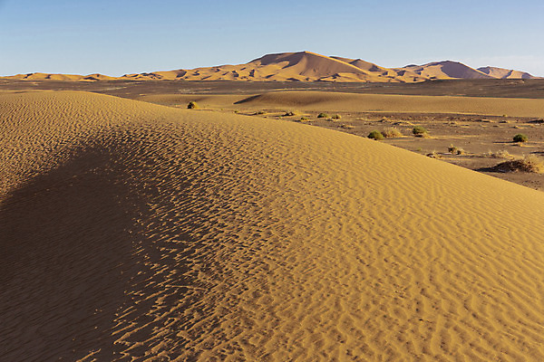 포토 JPG 해외이미지 모래 파도 여행 백그라운드 패턴 오렌지 아프리카 자연 하늘 건조 따뜻함 파노라마 이집트 풍경 사람없음 야외 빨간색 여름 모래사장 햇빛 태양 노란색 일출 맑음 일몰 사막 뜨거움 황무지 모래언덕 사파리 언덕 질감 지역 모로코 사하라 아랍어 수평선 해외202004 해외포토 자연요소 계절 나라 바다 컬러 무늬 과일 날씨 촬영기법 노을 생태계 파일형식 이미지허브