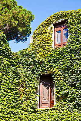 포토 JPG 해외이미지 나무 식물 전통 디자인 외관 공원 꽃 벽 잎 건축양식 창문 자연 벽돌 주택 프레임 사람없음 야외 건물 목재 장식 초록색 탑 정원 성장 바위 시골 역사 재산 고급 질감 복고 아이비 상록수 내추럴 옛날 진짜 해외202004 해외포토 건축물 공공시설 건축 컬러 컨셉 재료 금융 돌_바위 생태계 파일형식 이미지허브