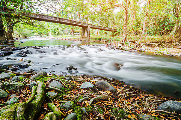 포토 JPG 해외이미지 나무 공원 여행 백그라운드 잎 자연 벽지 이끼 풍경 사람없음 야외 목재 초록색 여름 강 평화 환경 봄 폭포 젖음 흐름 가을 바위 신선 떨어짐 숲 작음 열대우림 뿌리 암초 해외202004 해외포토 식물 계절 공공시설 컬러 컨셉 재료 돌_바위 크기 생태계 파일형식 이미지허브