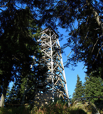 포토 JPG 해외이미지 나무 여행 사다리 산 풍경 사람없음 목재 여행객 계단 탑 하이킹 숲 오르기 해외202004 해외포토 식물 건축물 재료 모션 레저 사람 도구 파일형식 이미지허브