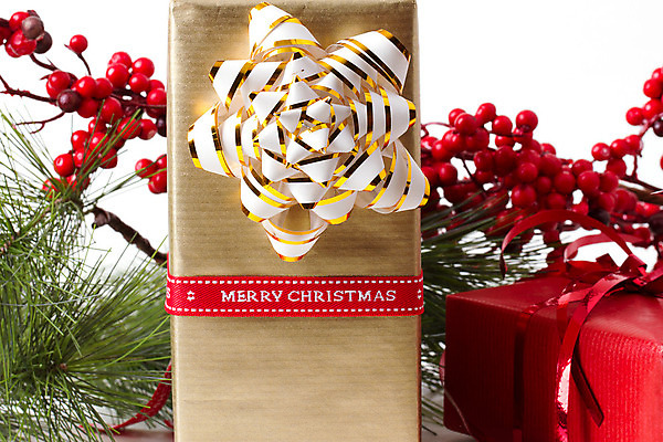 포토 JPG 해외이미지 나무 전통 디자인 리본 백그라운드 크리스마스장식 크리스마스 겨울 텍스트 공 휴가 새로움 새해 기념 프레임 선물 이벤트 사람없음 장식 빨간색 상자 금속 축제 놀람 장식볼 흰색 나뭇가지 축하 인사 화려 황금 은색 연도 전나무 내추럴 고립 포장소품 해외202004 해외포토 식물 계절 기념일 감정 컬러 컨셉 포장 재질 표정 예절 오브젝트 포장재료 파일형식 이미지허브