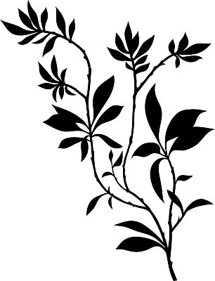 EPS 해외이미지 나무 식물 디자인 커플 계절 꽃 실루엣 줄기 백그라운드 잎 겨울 꽃무늬 패턴 일러스트 자연 추상 미술 그래픽 장식 태양 환경 검은색 봄 수확 성장 흰색 나뭇가지 화려 숲 오브젝트 싱글 그림 유기농 질감 복고 윤곽 내추럴 고립 그런지 해외202004 해외일러스트 자연요소 웰빙 컬러 컨셉 무늬 농업 관계 문화예술 촬영기법 생태계 파일형식 벡터 이미지허브