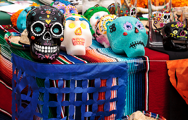 포토 JPG 해외이미지 꽃 기념 골격 사람없음 반려동물 고양이 죽음 개 11월 10월 해골모형 해외202004 해외포토 식물 동물 포유류 모형 날짜 파일형식 이미지허브