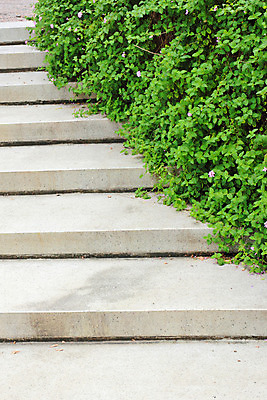 포토 JPG 해외이미지 나무 식물 디자인 공원 도로 길 백그라운드 컨셉 잎 자국 자연 성공 풍경 사람없음 야외 장식 초록색 여름 계단 환경 정원 봄 산책 성장 바위 오솔길 방향 질감 단계 내추럴 방법 선로 해외202004 해외포토 계절 공공시설 컬러 교통시설 휴식 돌_바위 생태계 파일형식 이미지허브