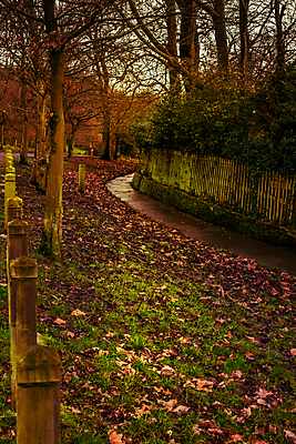 포토 JPG 해외이미지 나무 식물 계절 공원 백그라운드 단풍 잎 패턴 오렌지 자연 추상 건조 종류 풍경 사람없음 야외 빨간색 초록색 컬러풀 활발 가을 나뭇가지 시골 변화 황금 숲 11월 강의 속도 질감 나무껍질 모음 10월 강렬 페어웨이 해외202004 해외포토 공공시설 컬러 컨셉 무늬 골프 과일 껍질 날짜 생태계 파일형식 이미지허브