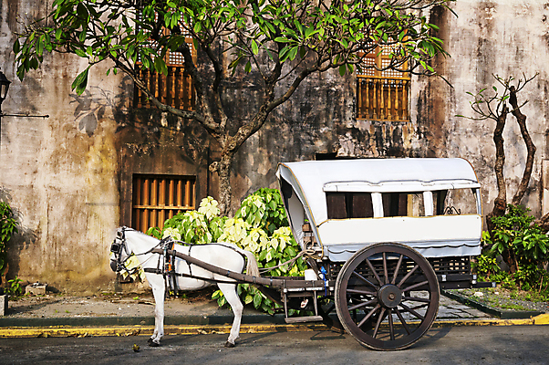 포토 JPG 해외이미지 나무 건축물 아시아 교통수단 벽 여행 건축양식 교통시설 하늘 사람없음 야외 건물 관광지 컬러풀 동남아시아 성 타운 랜드마크 해외202004 해외포토 식물 건축 나라 컬러 교통 도시 시설 파일형식 이미지허브