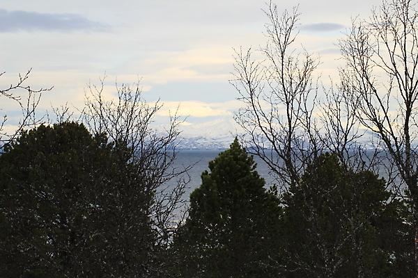 포토 JPG 해외이미지 나무 유럽 겨울 자국 자연 하늘 산 파노라마 노르웨이 풍경 사람없음 목재 파란색 여행객 계곡 등산 트래킹 바위 흰색 정상 숲 언덕 해외202004 해외포토 식물 계절 나라 컬러 재료 레저 촬영기법 사람 돌_바위 생태계 파일형식 이미지허브