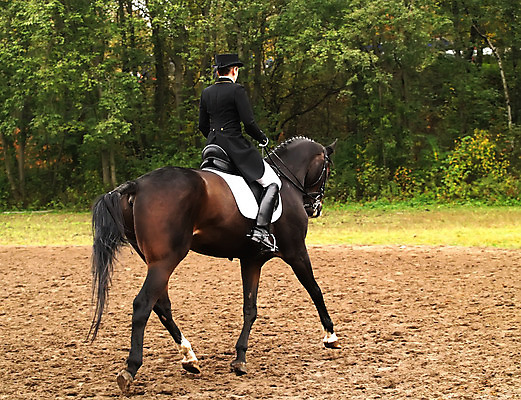 포토 JPG 해외이미지 동물 여자 얼굴 스포츠 장갑 포유류 사람 소녀 사람없음 야외 반려동물 갈색 경쟁 경기장 흰색 승마 우아함 중앙 승차 큼 갈기 굴레 방목장 해외202004 해외포토 잡화 어린이 컬러 컨셉 스포츠시설 모션 신체부위 크기 파일형식 이미지허브