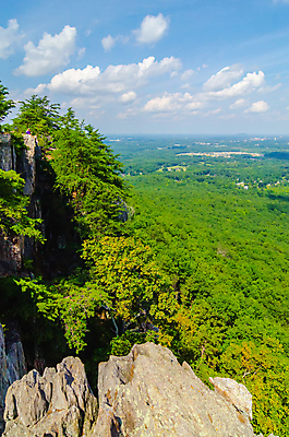 포토 JPG 해외이미지 나무 계절 공원 잎 자연 안테나 풍경 사람없음 초록색 맑음 하이킹 소나무 숲 해외202004 해외포토 식물 공공시설 컬러 통신 레저 날씨 생태계 파일형식 이미지허브